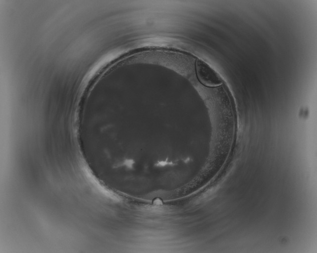 X0000113981045200910021132