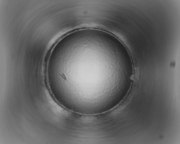 X0000113981046200910021132