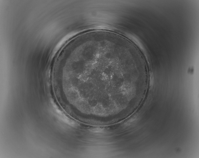 X0000113981048200910021132