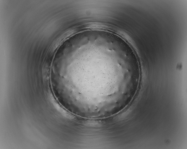 X0000113981049200910021132
