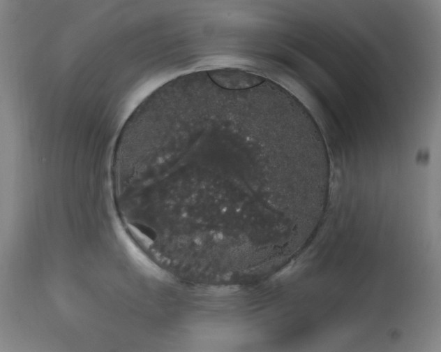 X0000113981055200910021132