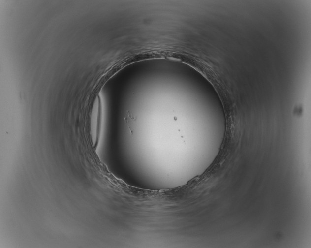X0000113981057200910021131