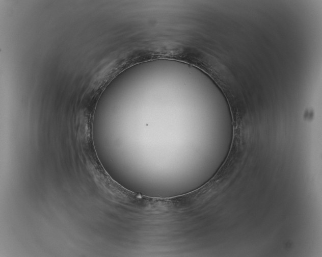 X0000113981058200910021131