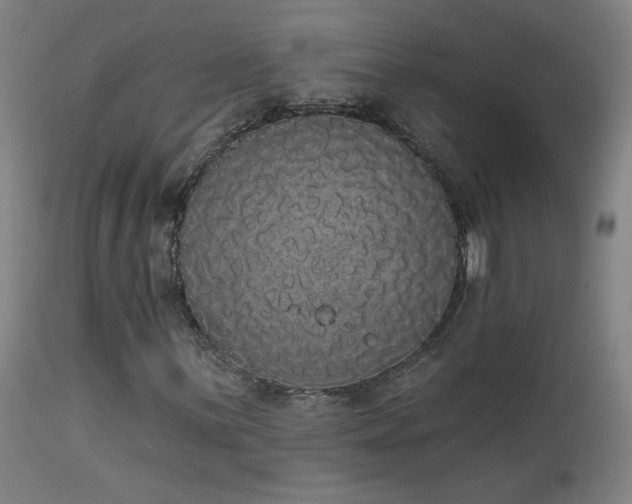 X0000113981059200910021131