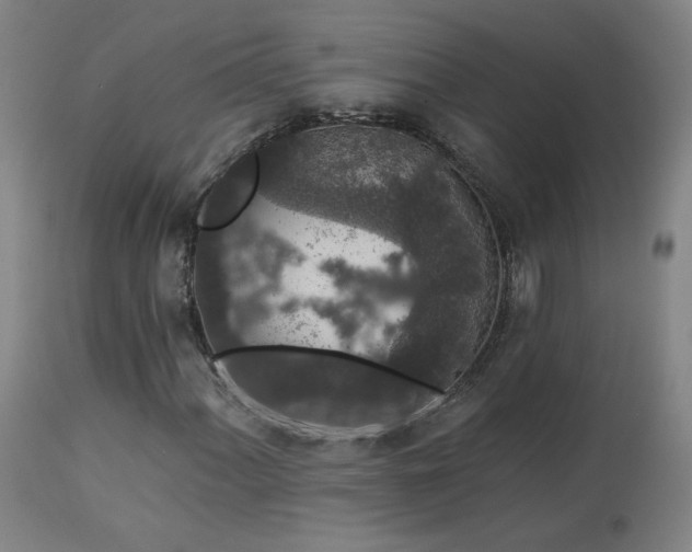 X0000113981060200910021131