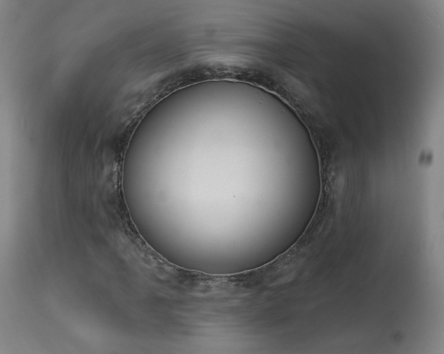 X0000113981061200910021131