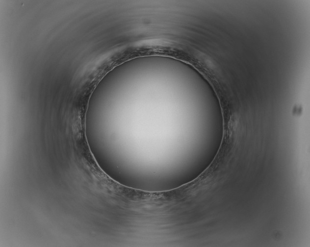 X0000113981062200910021131