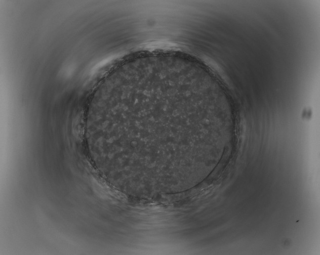 X0000113981063200910021131