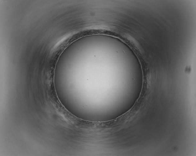 X0000113981064200910021131