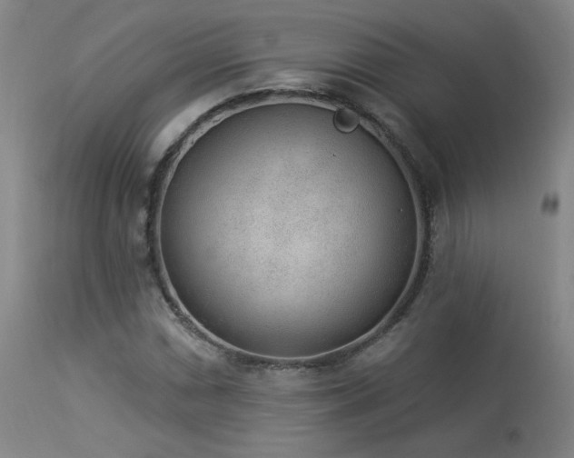 X0000113981066200910021131