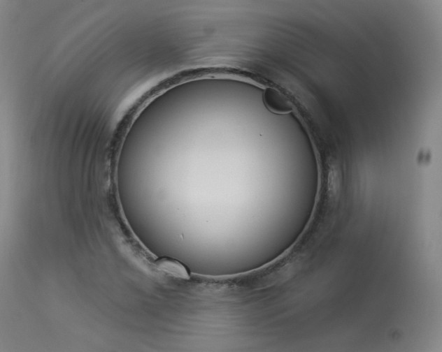 X0000113981069200910021131