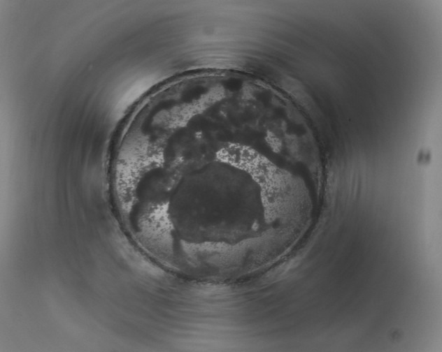 X0000113981071200910021131