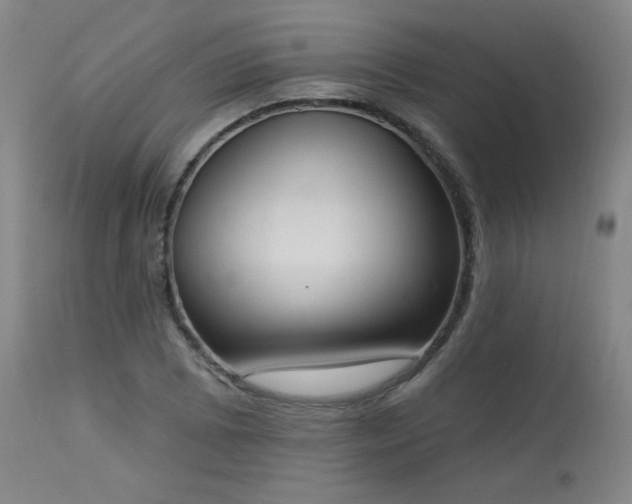 X0000113981073200910021131