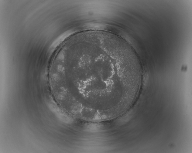 X0000113981074200910021131