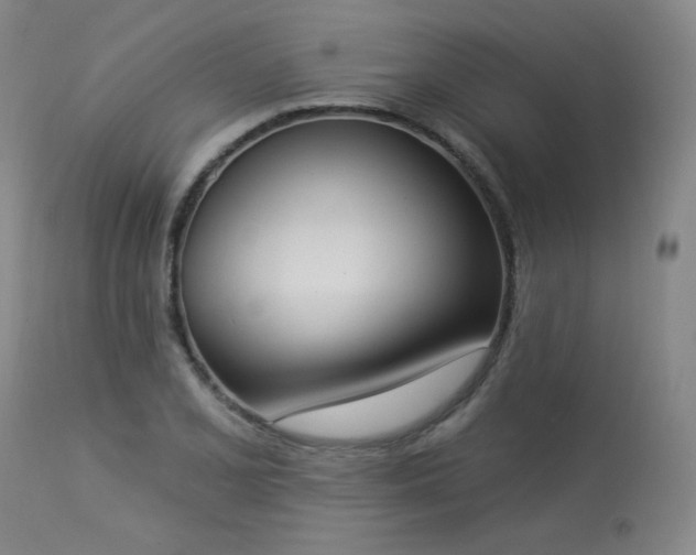 X0000113981077200910021131
