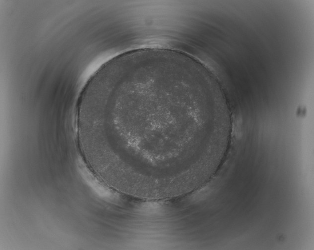 X0000113981078200910021131