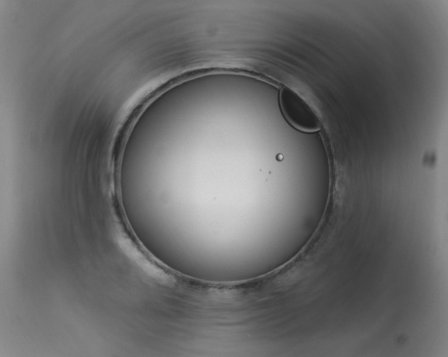 X0000113981080200910021131