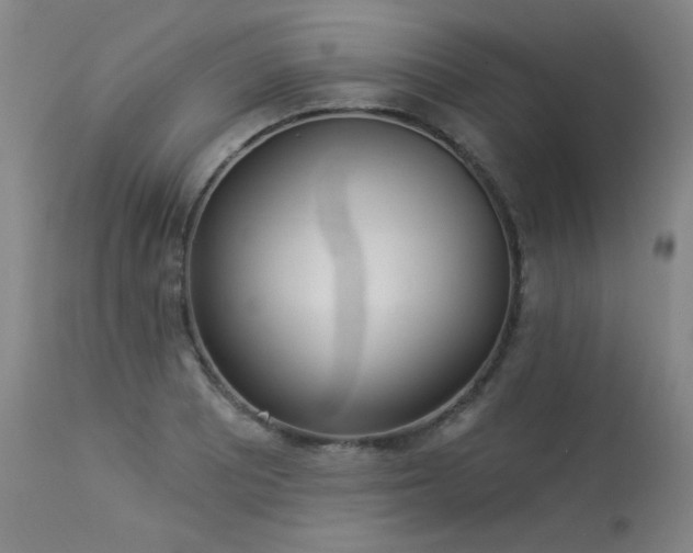 X0000113981081200910021131