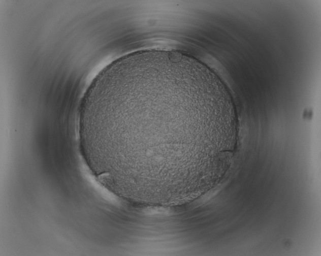 X0000113981083200910021131