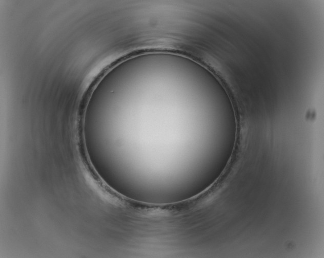 X0000113981085200910021131