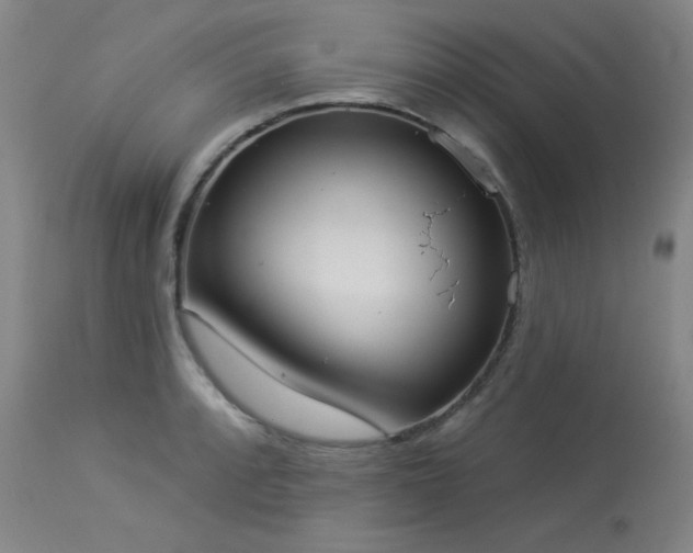 X0000113981088200910021131