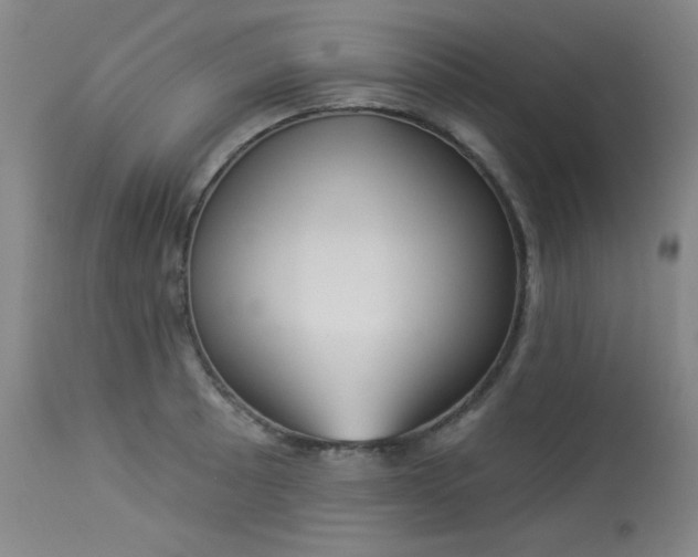 X0000113981089200910021131