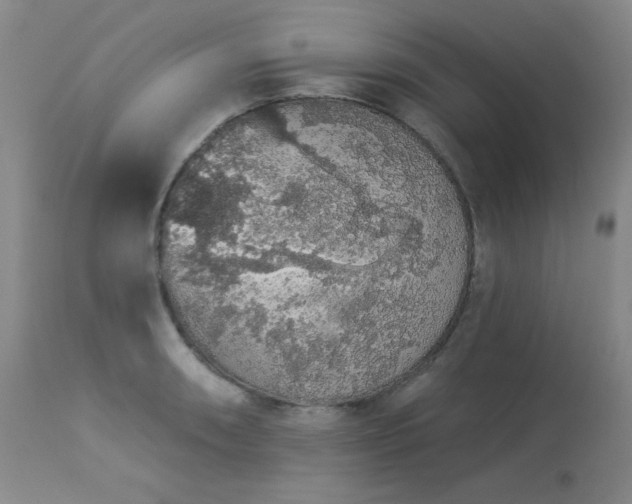 X0000113981090200910021131