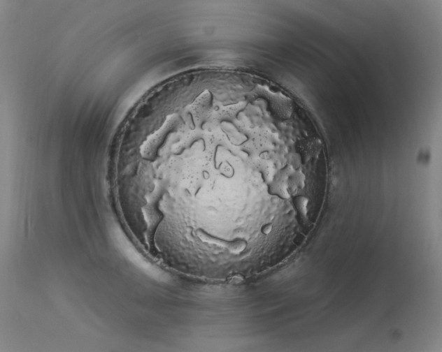 X0000113981091200910021131