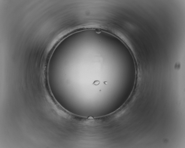 X0000113981093200910021131
