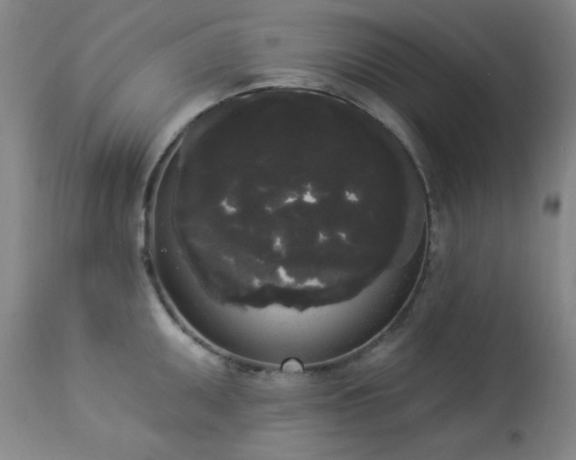 X0000113981095200910021131