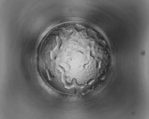 X0000113981099200910021131
