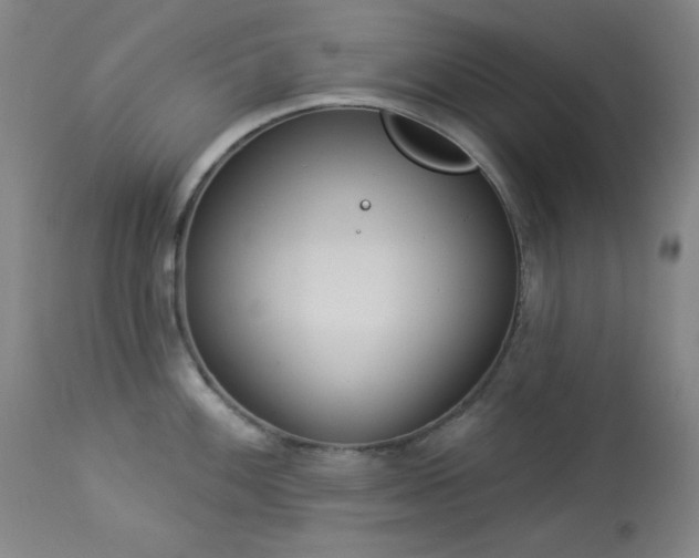 X0000113981100200910021131
