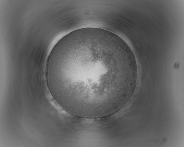 X0000113981104200910021130