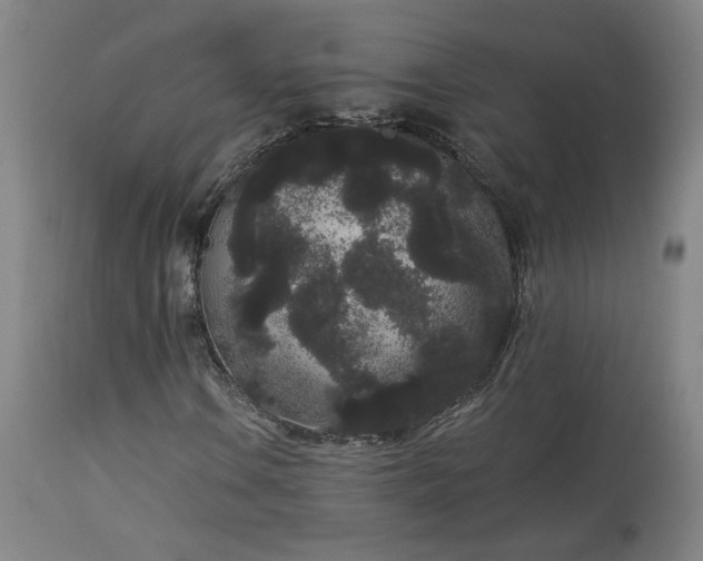 X0000113981106200910021130
