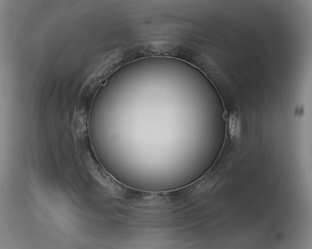 X0000113981107200910021130