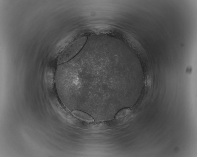X0000113981108200910021130