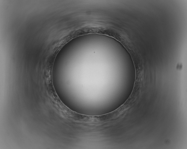 X0000113981109200910021130
