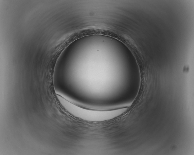 X0000113981110200910021130