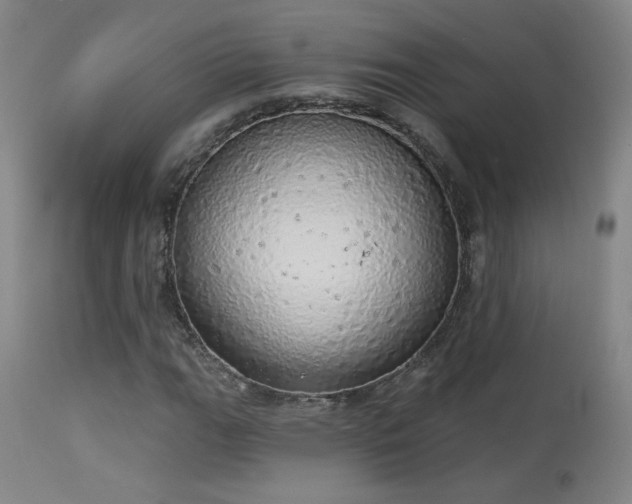 X0000113981111200910021130
