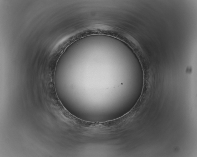 X0000113981112200910021130