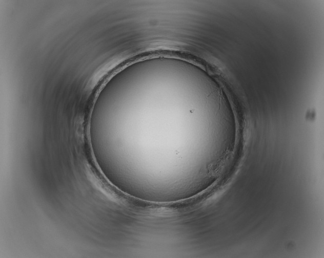 X0000113981113200910021130