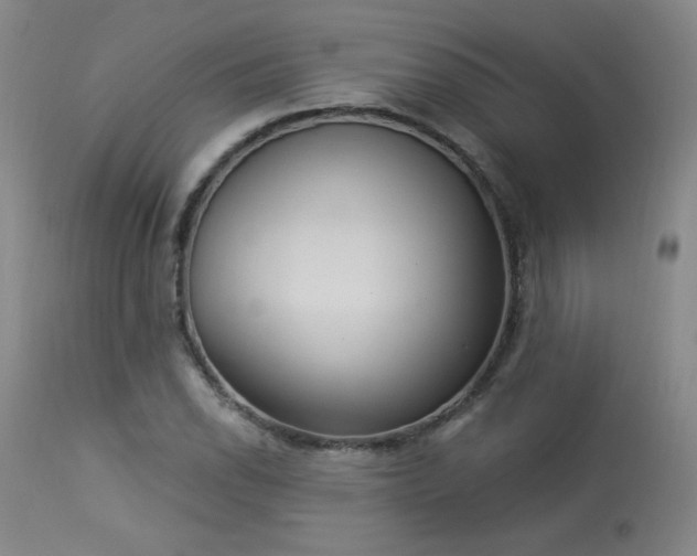 X0000113981118200910021130