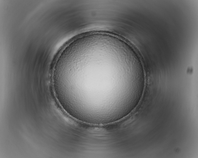 X0000113981119200910021130