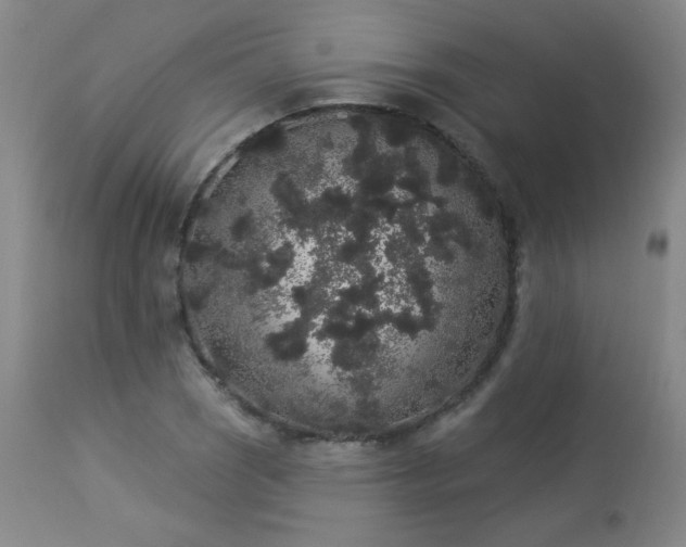 X0000113981121200910021130