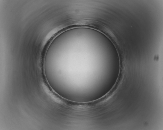 X0000113981122200910021130