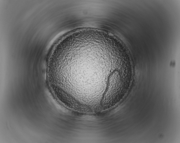 X0000113981123200910021130