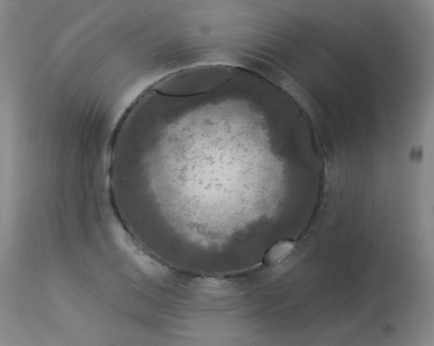 X0000113981124200910021130