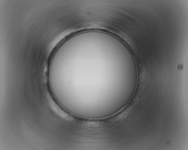 X0000113981126200910021130
