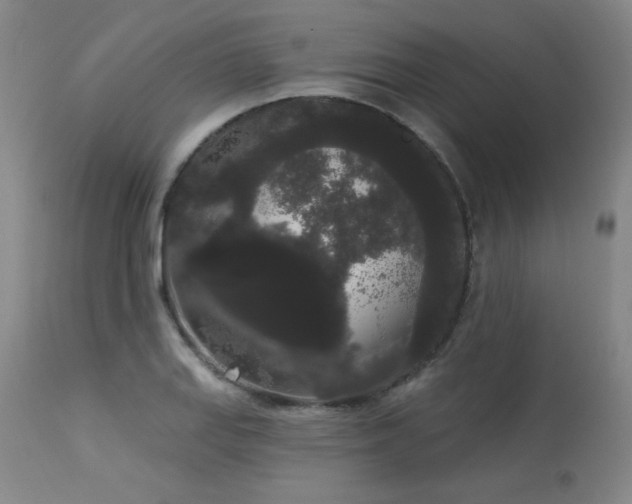 X0000113981127200910021130