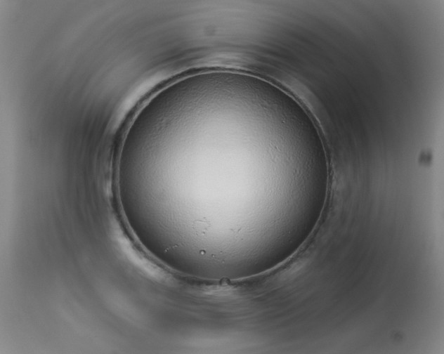 X0000113981131200910021130